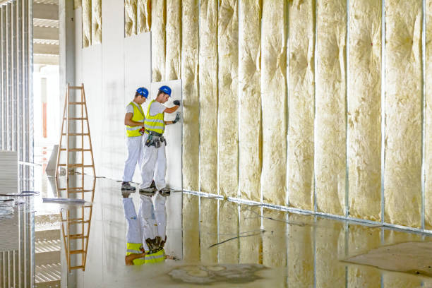 Best Insulation for New Construction  in Mapleton, ND